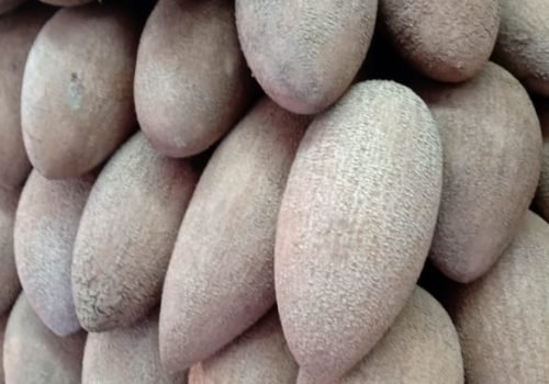 WhatsApp Image 2025-10-15 at 11.09.52 AM (5)