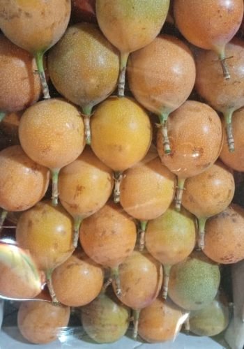 WhatsApp Image 2025-10-15 at 11.09.54 AM (8)