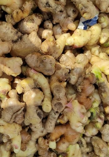 WhatsApp Image 2025-10-15 at 11.09.55 AM (4)