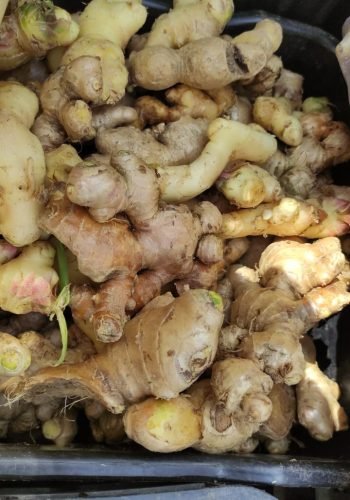 WhatsApp Image 2025-10-15 at 11.09.55 AM (5)