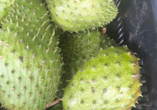 WhatsApp Image 2025-10-15 at 11.09.56 AM (10)