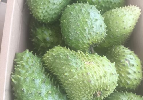 WhatsApp Image 2025-10-15 at 11.09.56 AM (11)