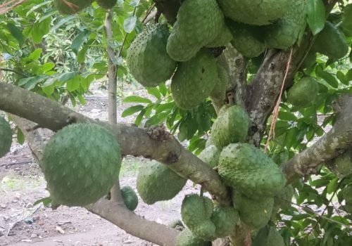 WhatsApp Image 2025-10-15 at 11.09.56 AM (14)