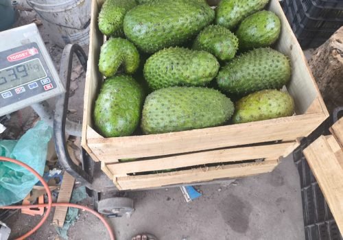 WhatsApp Image 2025-10-15 at 11.09.56 AM (15)