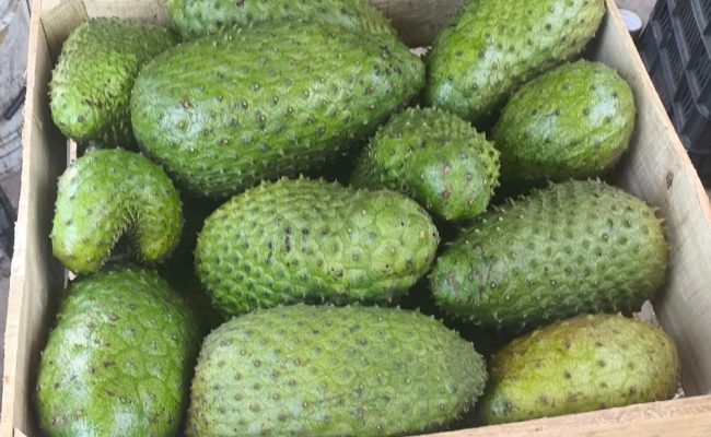 WhatsApp Image 2025-10-15 at 11.09.56 AM (8)