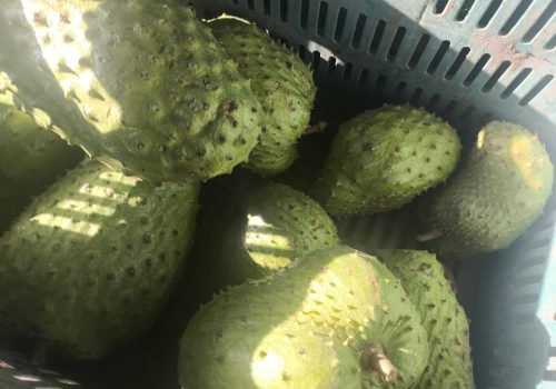 WhatsApp Image 2025-10-15 at 11.09.57 AM (2)