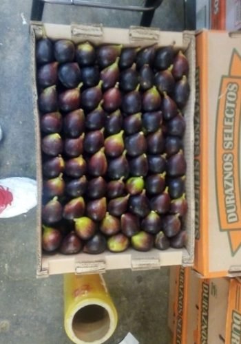 WhatsApp Image 2025-10-15 at 11.09.58 AM (1)