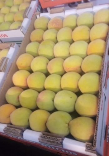 WhatsApp Image 2025-10-15 at 11.09.58 AM