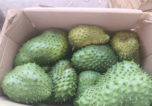 WhatsApp Image 2025-10-15 at 11.09.59 AM (3)