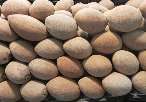 WhatsApp Image 2025-10-15 at 11.09.59 AM (7)