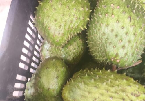 WhatsApp Image 2025-10-15 at 11.10.00 AM (1)