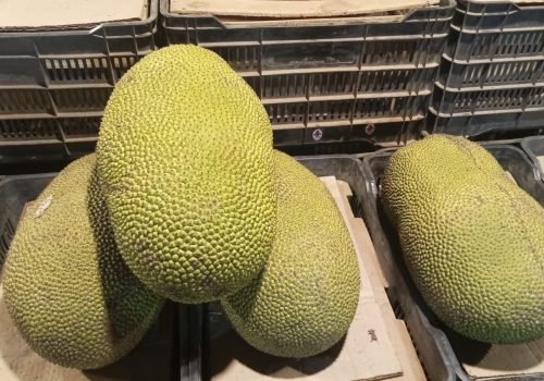 WhatsApp Image 2025-10-15 at 11.10.00 AM (3)