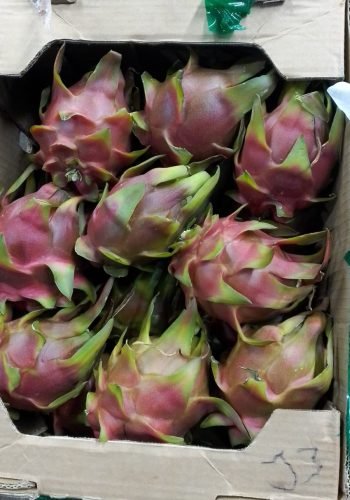 WhatsApp Image 2025-10-15 at 11.10.00 AM (4)