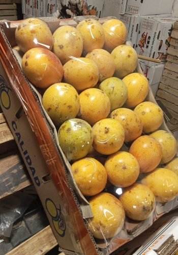 WhatsApp Image 2025-10-15 at 11.10.01 AM (1)