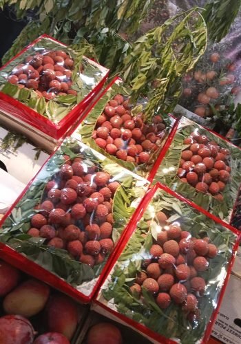 WhatsApp Image 2025-10-15 at 11.10.01 AM (2)