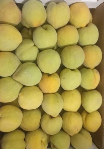 WhatsApp Image 2025-10-15 at 11.10.02 AM (2)