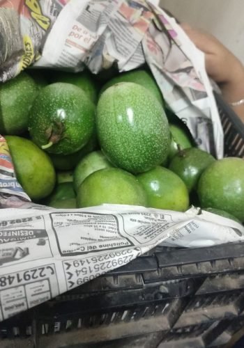 WhatsApp Image 2025-10-15 at 11.10.02 AM (4)