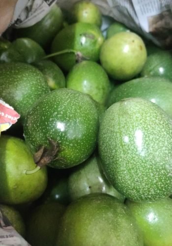 WhatsApp Image 2025-10-15 at 11.10.02 AM (5)