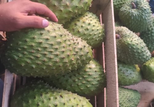 WhatsApp Image 2025-10-15 at 11.10.03 AM (1)