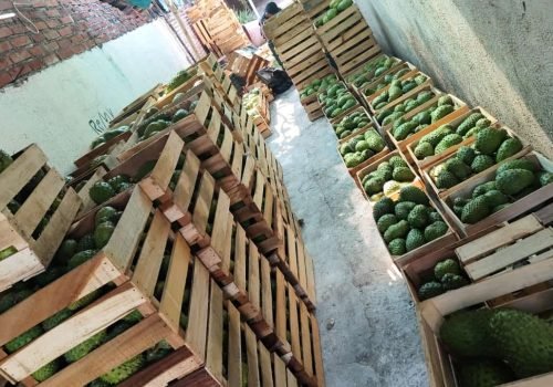 WhatsApp Image 2025-10-15 at 11.10.03 AM (2)