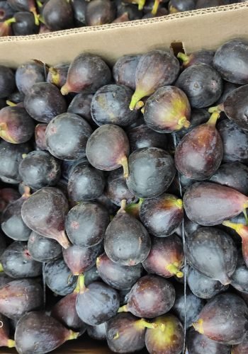 WhatsApp Image 2025-10-15 at 11.10.03 AM (8)