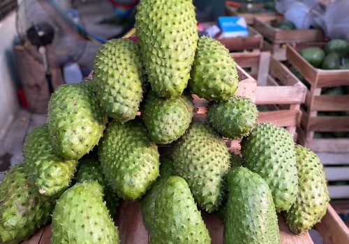 WhatsApp Image 2025-10-15 at 11.10.04 AM (1)