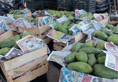 WhatsApp Image 2025-10-15 at 11.10.04 AM (6)